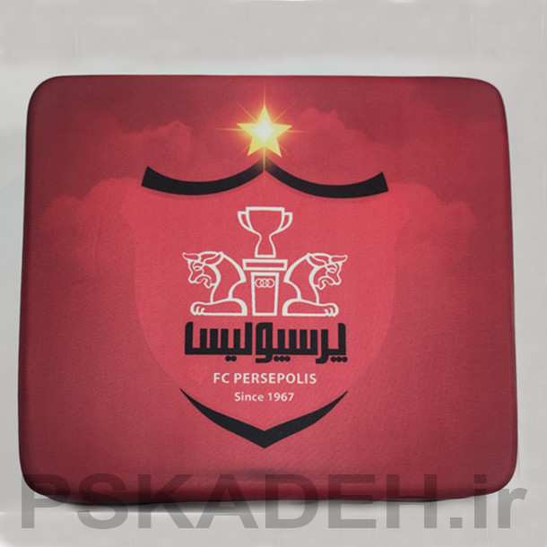 کیف حمل کنسول PS4 پرسپولیس